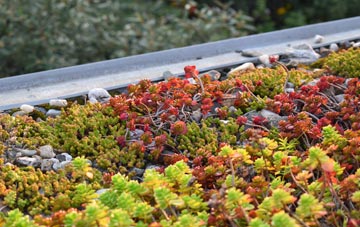 the cost of Scotland End green roof installation