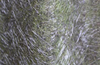 Scotland End fibreglass roof work